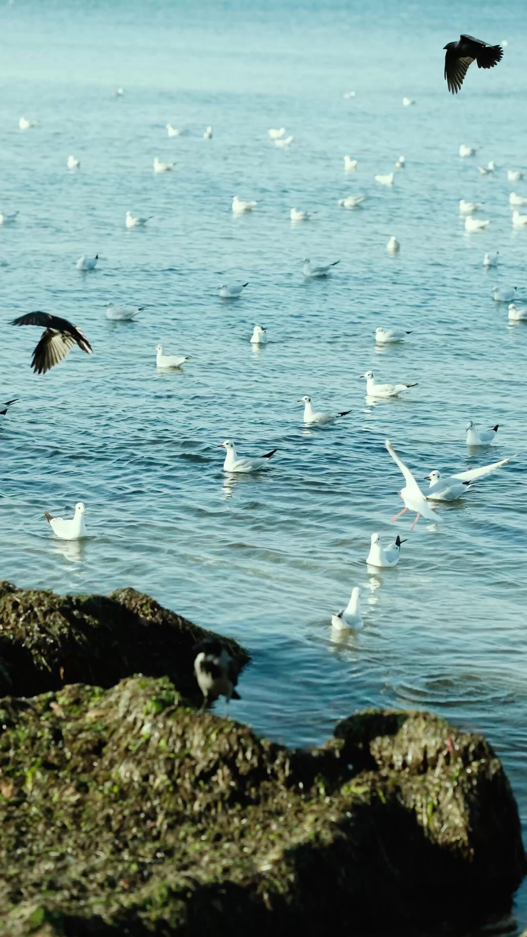Video image 1